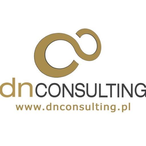 DN Consulting logo